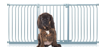 Bettacare Elite Pressure Dog Gate197Cm206CmMatt GreyPressure Fit Pet Gate For Dog And Puppy from B&Q