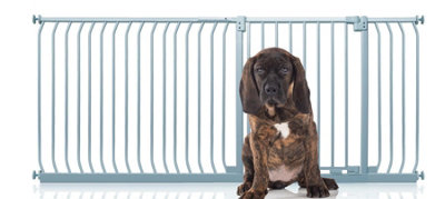 Bettacare Elite Pressure Dog Gate198Cm207CmMatt GreyPressure Fit Pet Gate For Dog And Puppy from B&Q
