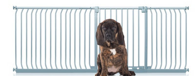 Bettacare Elite Pressure Dog Gate234Cm243CmMatt GreyPressure Fit Pet Gate For Dog And Puppy from B&Q
