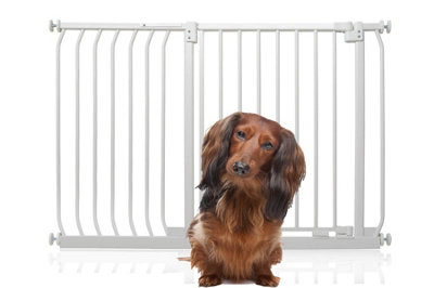 Bettacare Elite Pressure Dog Gate116Cm125CmMatt WhitePressure Fit Pet Gate For Dog And Puppy from B&Q