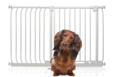 Bettacare Elite Pressure Dog Gate125Cm134CmMatt WhitePressure Fit Pet Gate For Dog And Puppy from B&Q