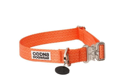 Dna Dogwear Waves Pro Collar Orange Spk Lg from B&Q
