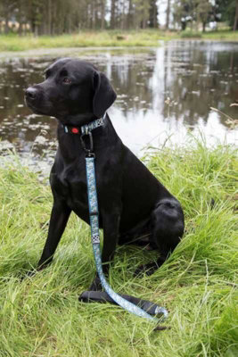 Dna Dogwear Summit Pro Lead H Hare 1.5M from B&Q