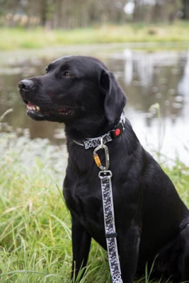 Dna Dogwear Summit Pro Lead Ml Hare 1M from B&Q