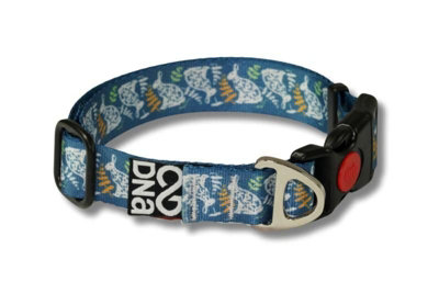 Dna Dogwear Summit Sig Collar H Hare Small from B&Q