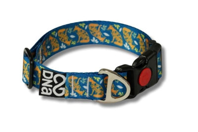 Dna Dogwear Summit Sig Collar N Spirit Med from B&Q