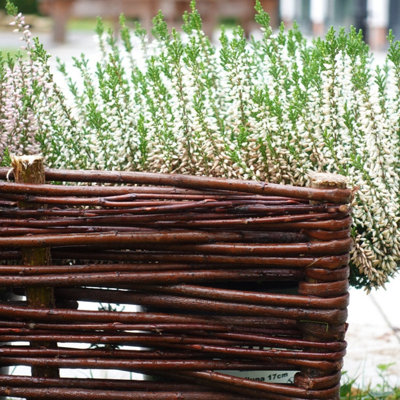 B&Q -  2M Willow Lawn Edging20Cm Height