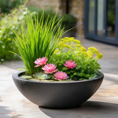 B&Q -  55Cm Wildlife Pond In A Pot Kit