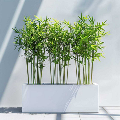 Woven Wood 100Cm Zinc Galvanised Matte White Trough Planter from B&Q