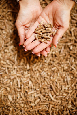 Catvenience Wood Pellet Cat Litter 60 Litre Pine Wood Pellets from B&Q