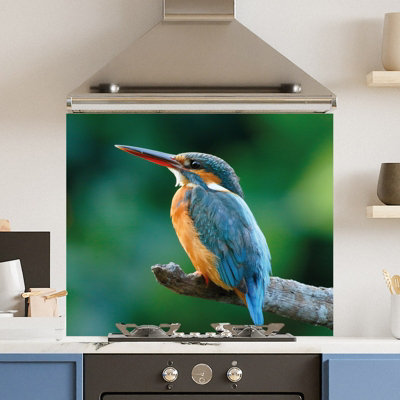 Choose Your Print Premium 90 X 75Cm Blue Kingfisher 6mm Glass Toughened Kitchen SplashbackHeat Resistant Polished Edges from B&Q