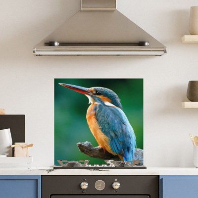 Choose Your Print Premium 60 X 60Cm Kingfisher 6mm Glass Toughened Kitchen SplashbackHeat Resistant Polished Edges from B&Q