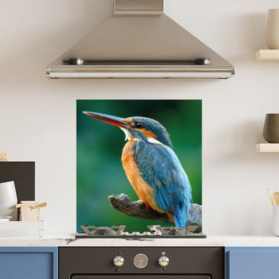 Choose Your Print Premium 60 X 65Cm Kingfisher 6mm Glass Toughened Kitchen SplashbackHeat Resistant Polished Edges from B&Q