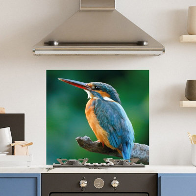 Choose Your Print Premium 70 X 65Cm Kingfisher 6mm Glass Toughened Kitchen SplashbackHeat Resistant Polished Edges from B&Q