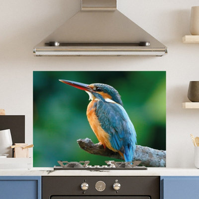 Choose Your Print Premium 90 X 65Cm Kingfisher 6mm Glass Toughened Kitchen SplashbackHeat Resistant Polished Edges from B&Q