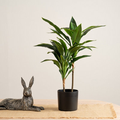 B&Q - Scottish Everlastings Ltd. Scottish Everlastings Artificial 60Cm Real Touch Dracaena