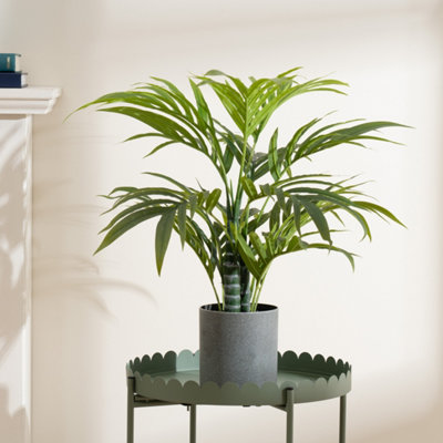 Scottish Everlastings Ltd. Scottish Everlastings 60Cm Artificial Palm Tree from B&Q