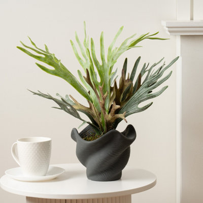 Scottish Everlastings Ltd. Scottish Everlastings 53Cm Artificial Sea Greens In Cement Shell Pot from B&Q