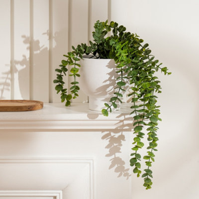 Scottish Everlastings Ltd. Scottish Everlastings Artificial 40Cm Trailing Eucalyptus In Rustic Footed Pot from B&Q