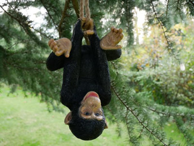 My Square Mile Hanging Monkey Garden OrnamentDecorative Tree Rope MonkeyIndoor Outdoor Safari Decor (Hanging Upside Down Monkey) from B&Q