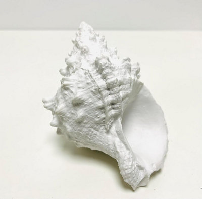 My Square Mile Artificial Coral OrnamentResin Faux Coral Aquarium Decor White Coral Reef Decorative Sea Coral Stony Coral (Frog Shell Coral) from B&Q