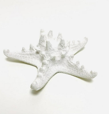 My Square Mile Artificial Coral OrnamentResin Faux Coral Aquarium Decor White Coral Reef Decorative Sea Stony Coral (Starfish  25 X 25 X 9Cm) from B&Q