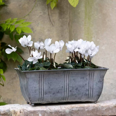 Wholesome Home Galvanised Trough Rectangular Planter (Small) from B&Q