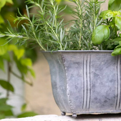 Wholesome Home Galvanised Trough Rectangular Planter (Medium) from B&Q