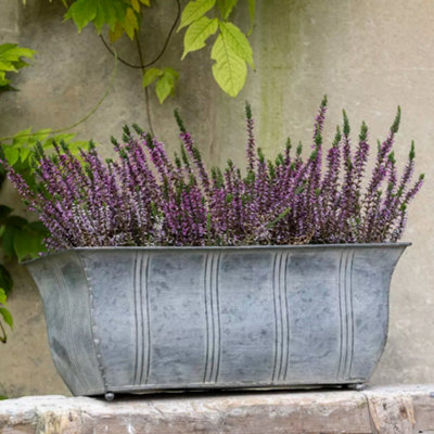 Wholesome Home Galvanised Trough Rectangular Planter (Large) from B&Q