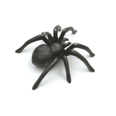 OakcraftsAntique Cast Iron Tarantula Spider Wall Art from B&Q