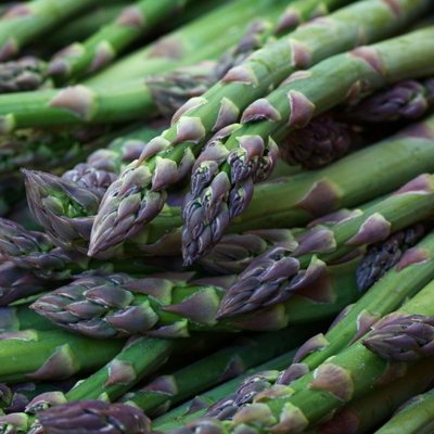 B&Q -  6 X Asparagus Crown Gijnilm Roots For PlantingPremium Quality Vegetable Perennials For Kitchen Gardens & Allotments