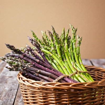 B&Q -  9 X Asparagus Crown Mixed Roots For PlantingPremium Quality Vegetable Perennials For Kitchen Gardens & Allotments