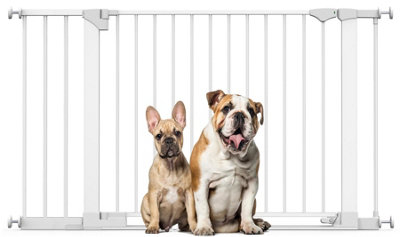 Bettacare Safestep Dog GateWhite131Cm138CmExtra Low Walkthough81Cm Extra Wide DoorwayExtra Wide Pet Gate from B&Q