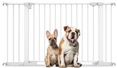Bettacare Safestep Dog GateWhite138Cm145CmExtra Low Walkthough81Cm Extra Wide DoorwayExtra Wide Pet Gate from B&Q