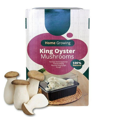 Carbeth Plants Mushroom Growing Kit King OysterBeginner Friendly Ready To Grow Educational KitEasy To Use Gardening GiftGrow Your Own from B&Q