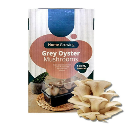Carbeth Plants Mushroom Growing Kit Grey OysterBeginner Friendly Ready To Grow Educational KitEasy To Use Gardening GiftGrow Your Own from B&Q