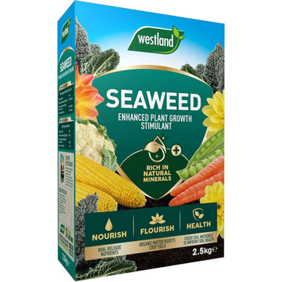 Westland Seaweed Plant Stimulant 2.5Kg - Image 3