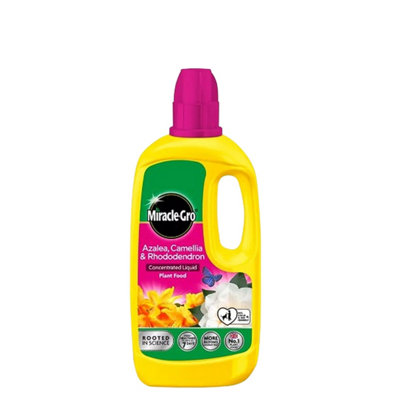 Miracle-Gro Azalea Camellia & Rhododendron Concentrated Liquid Plant Food 800Ml Ericaceous Npk 7-3-5 Growth Formula from B&Q