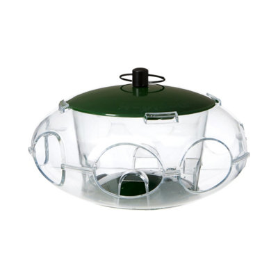 Peckish Green Bird Seed Feeder For Small Birds Compact Hanging Garden Feeder For Finches Sparrows from B&Q