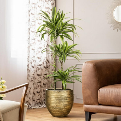 Idealist™ (Dia) 23Cm Gold Plant PotReinforced Stone Round Indoor Planter For Indoor Plants W27 H25.5 Cm14L from B&Q