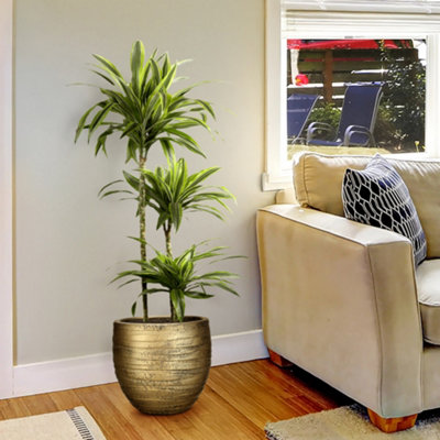Idealist™ (Dia) 33Cm Gold Plant PotReinforced Stone Round Indoor Planter For Indoor Plants W37 H31 Cm34L from B&Q