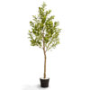 Found it product image.