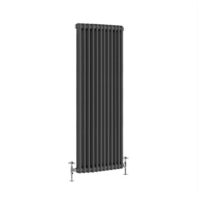 G-Rad G-Rad Anthracite Double Column Vertical Cast Iron Radiator(H) 1500 X (W) 550mm from B&Q