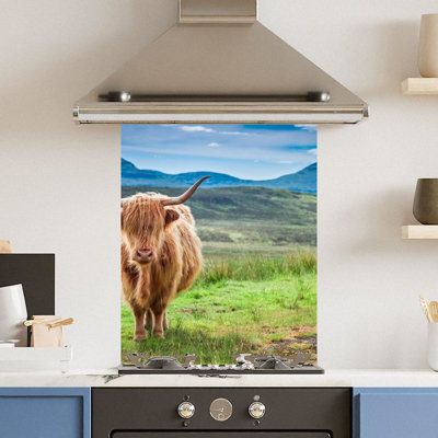 Choose Your Print Premium 60 X 75Cm Green Highland Cow 6mm Glass Toughened Kitchen SplashbackHeat Resistant Polished Edges from B&Q