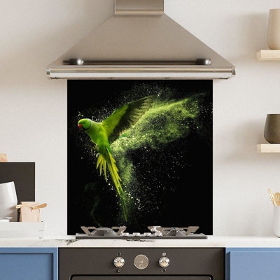 Choose Your Print Premium 70 X 75Cm Green Parrot 6mm Glass Toughened Kitchen SplashbackHeat Resistant Polished Edges from B&Q
