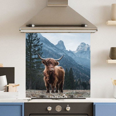 Choose Your Print Premium 60 X 60Cm Regal Cow 6mm Glass Toughened Kitchen SplashbackHeat Resistant Polished Edges from B&Q