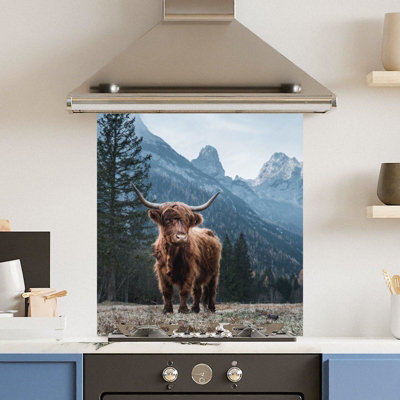 Choose Your Print Premium 60 X 65Cm Regal Cow 6mm Glass Toughened Kitchen SplashbackHeat Resistant Polished Edges from B&Q