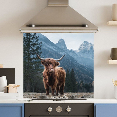 Choose Your Print Premium 70 X 65Cm Regal Cow 6mm Glass Toughened Kitchen SplashbackHeat Resistant Polished Edges from B&Q