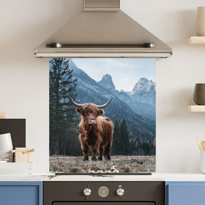 Choose Your Print Premium 70 X 75Cm Regal Cow 6mm Glass Toughened Kitchen SplashbackHeat Resistant Polished Edges from B&Q