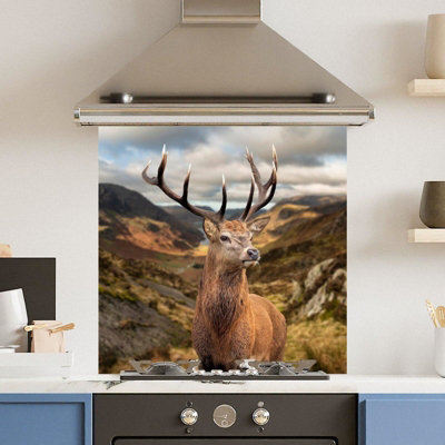 Choose Your Print Premium 60 X 60Cm Stunning Stag 6mm Glass Toughened Kitchen SplashbackHeat Resistant Polished Edges from B&Q
